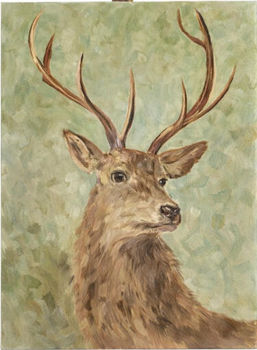 oil on canvas / 2024 / 50*70 sm