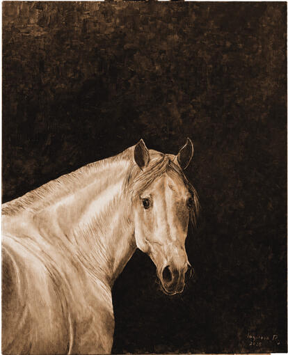 oil on canvas / 2026 / 18*24 inch
