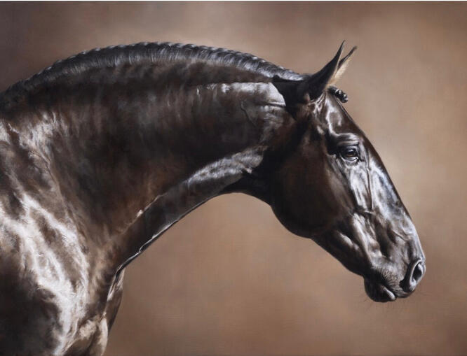 oil on canvas / 2026 / 18*24 inch